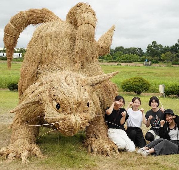 日本「稻草藝術節」．10月限定