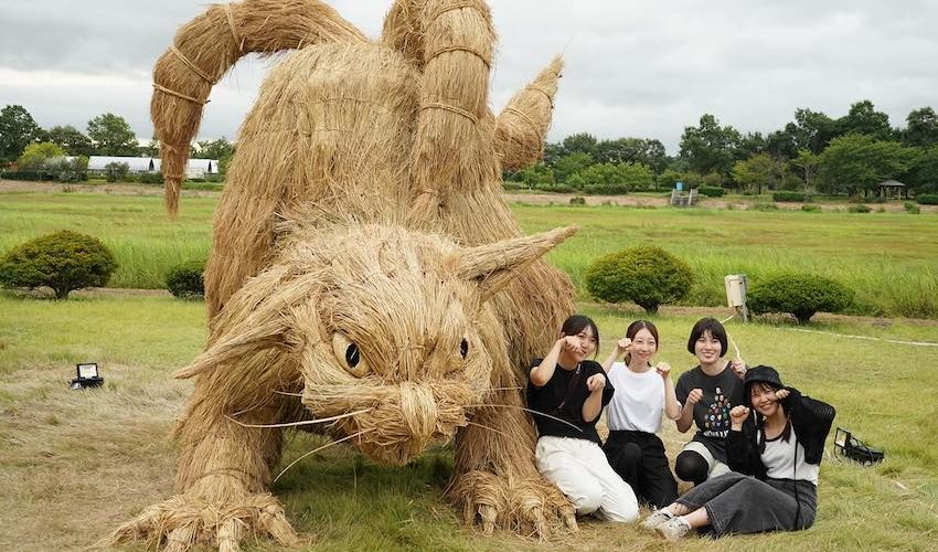 日本「稻草藝術節」．10月限定